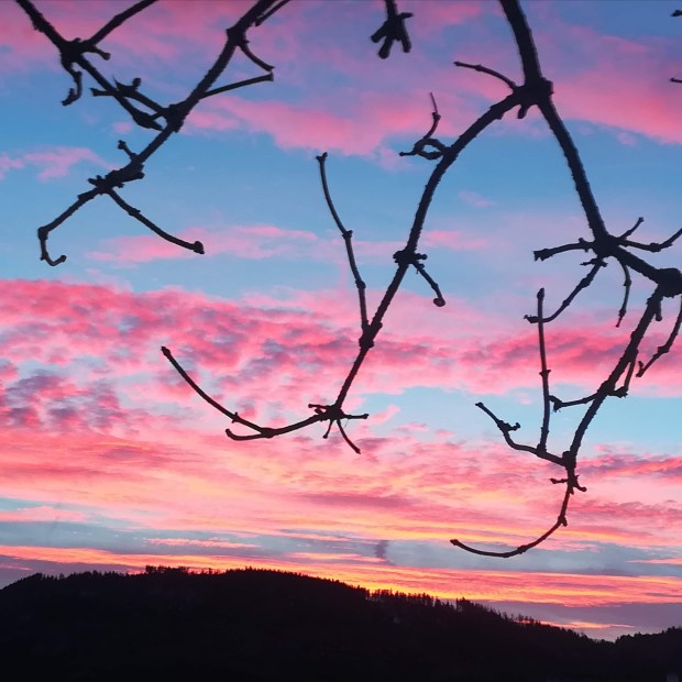 img_20190209_070948_647